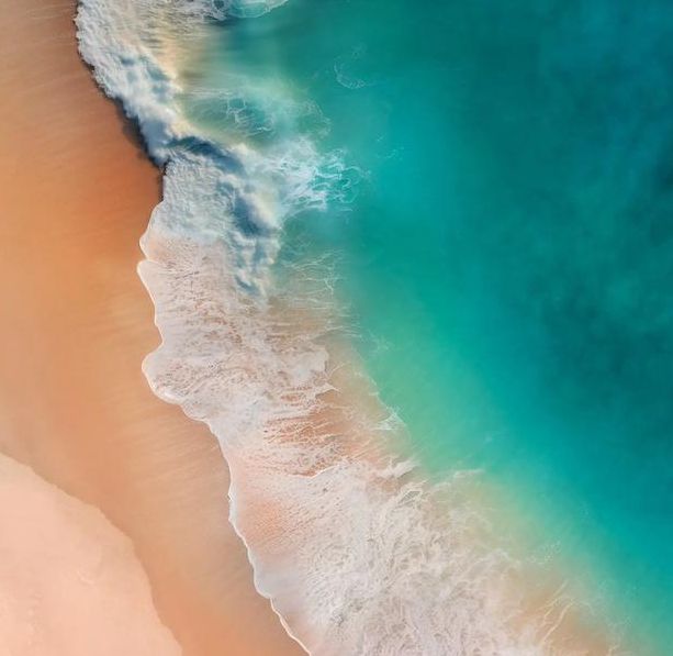 欧美高清vivoessexohd