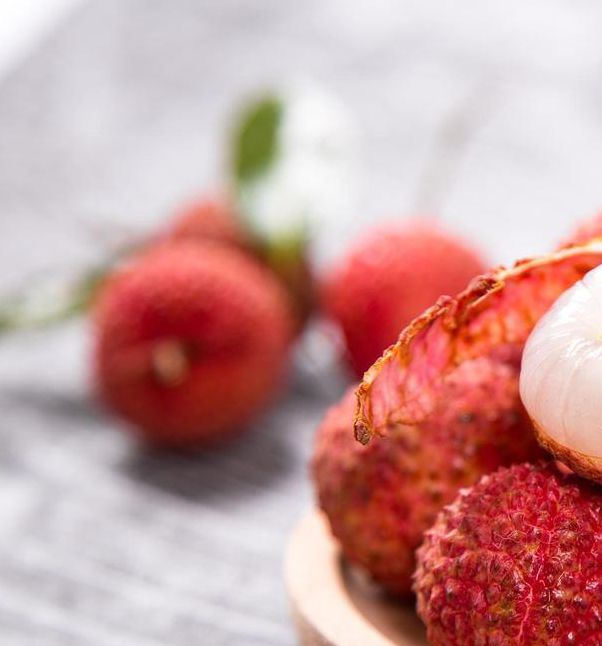 小蝌蚪荔枝高清