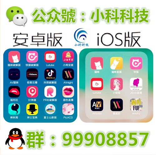 猫咪社区app在线入口