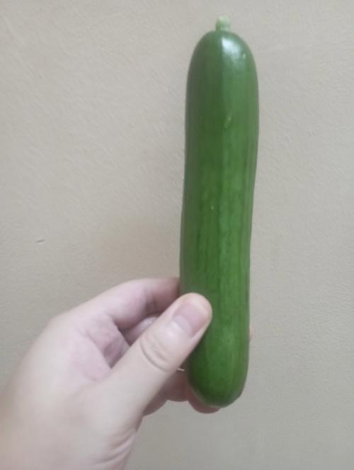 黄瓜视频免费版高清