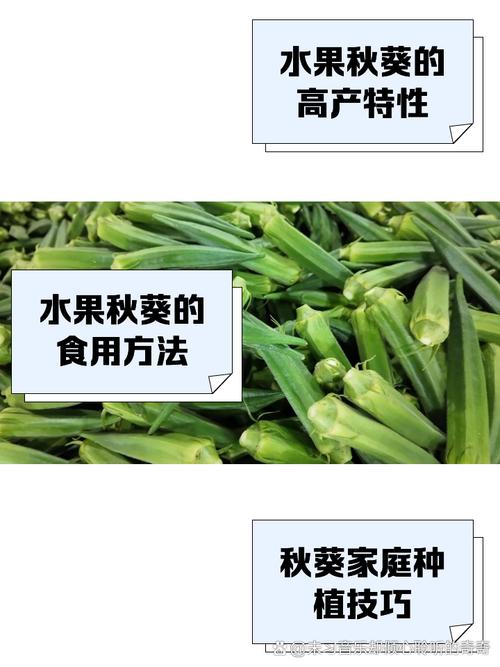 秋葵草莓茄子香蕉丝瓜榴莲18