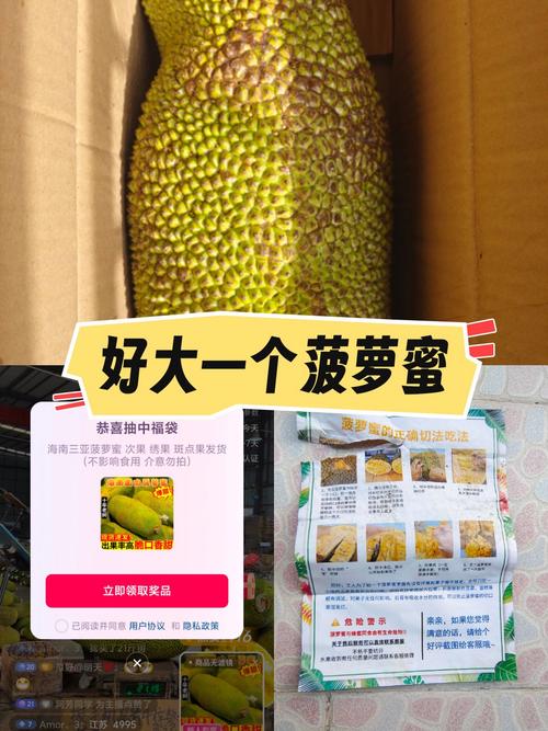 菠萝蜜视频app又大又长