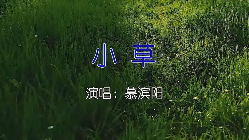 小草视频播放