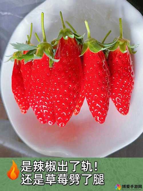 茄子香蕉榴莲草莓丝瓜向日葵小猪合集