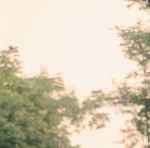 高清情侣国语自产拍