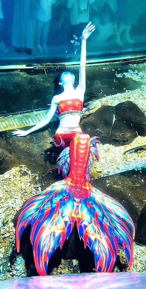 美人鱼国产视频