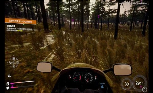 狂飙极限视界中文版