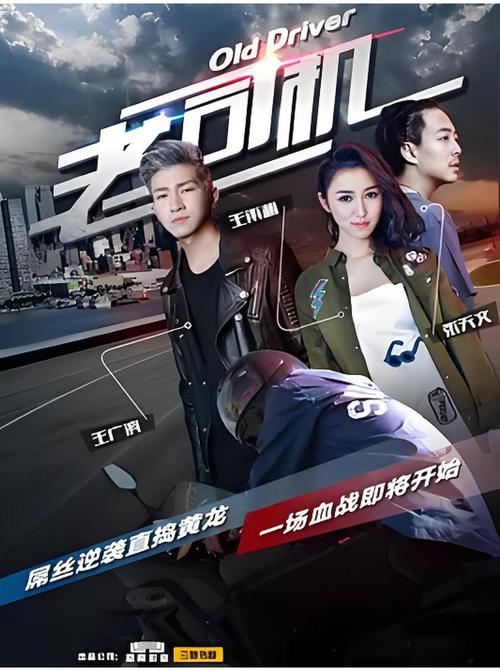 无码专区老司机67194性盈盈影院