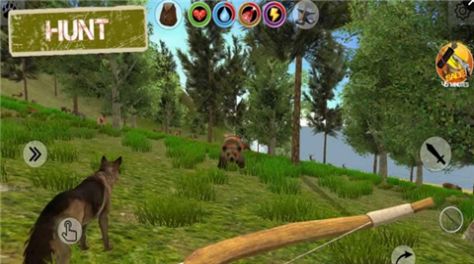 岛屿幸存者中文版