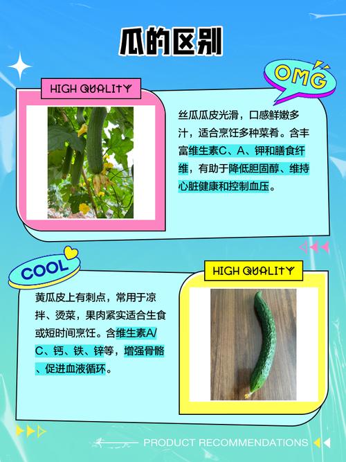 黄瓜丝瓜草莓秋葵绿巨人免费版