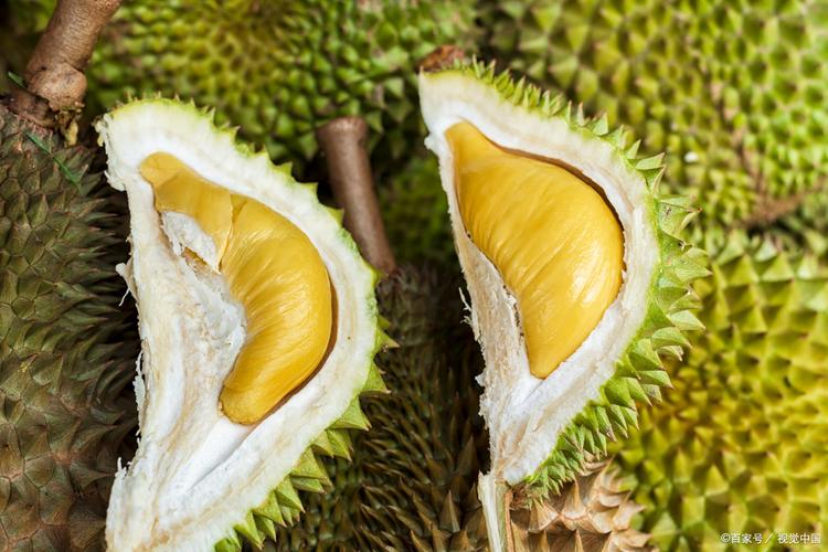 向日葵榴莲香蕉绿巨人