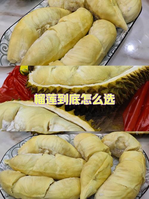 向日葵榴莲香蕉绿巨人