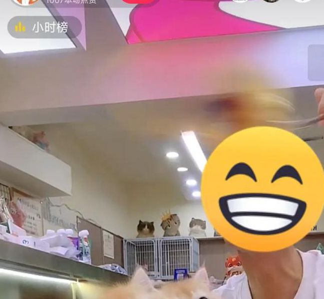 小狗狗直播app官网