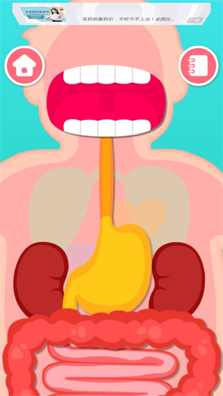 奇妙的身体冒险2022