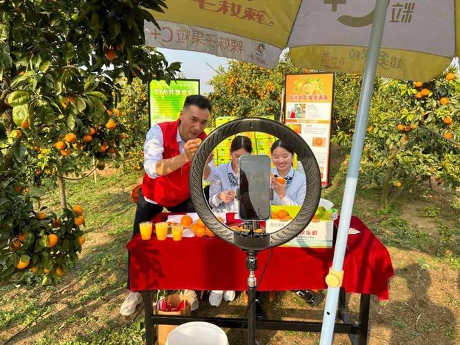 柑橘直播间