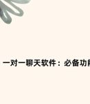 伴雪一对一聊天软件