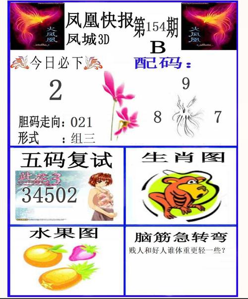 大菠萝福引导大全