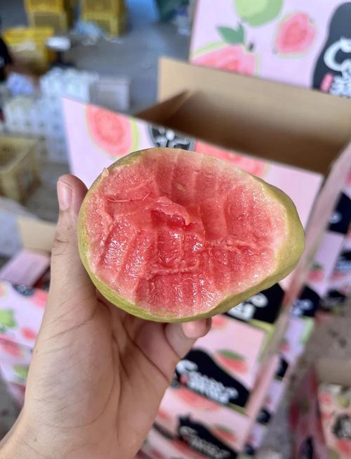 草莓芭乐榴莲向日葵