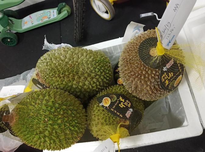 榴莲秋葵芒果草莓黄瓜色免费版