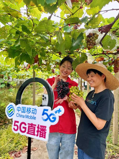 红运直播视频播放