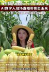 玉米直播视频高清版下载
