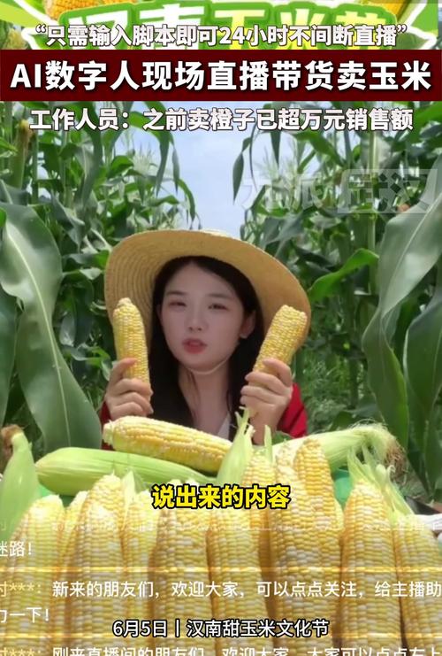 玉米直播视频高清版下载