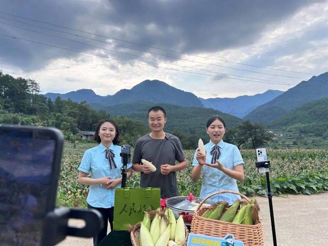 玉米直播视频高清版下载