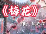 梅花视频.apk.rename免费版