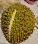 榴莲.combo2.0深夜释放自己幸福宝