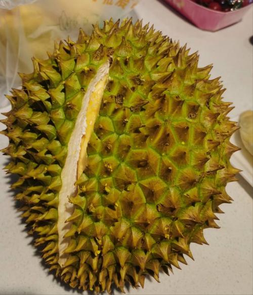 榴莲.combo2.0深夜释放自己幸福宝