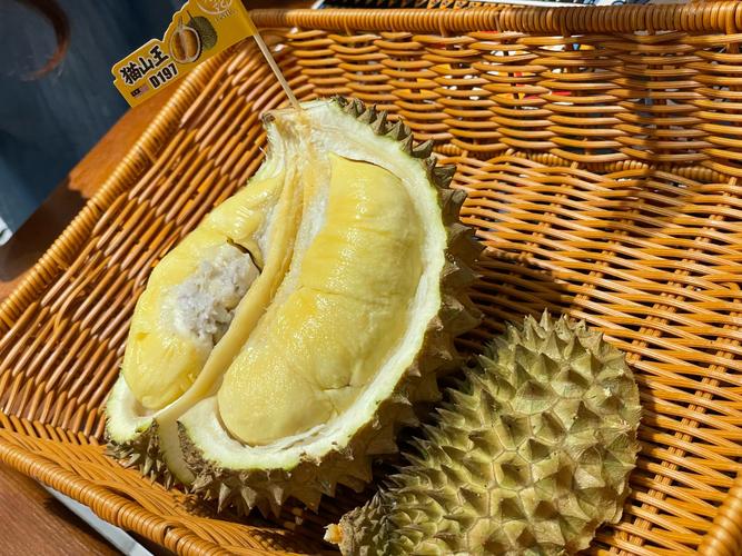 榴莲.combo2.0深夜释放自己幸福宝