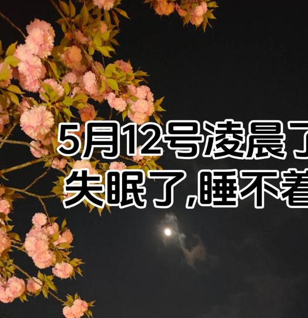 晚上睡不着想看点刺激的抖音在线观看