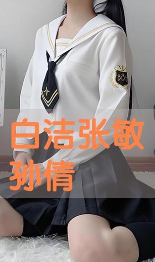 白洁张敏全集txt