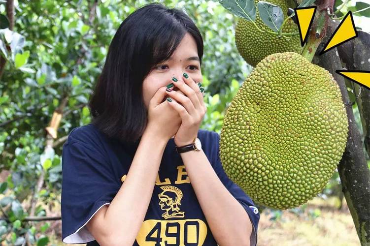 菠萝菠萝蜜免费视频高清观看