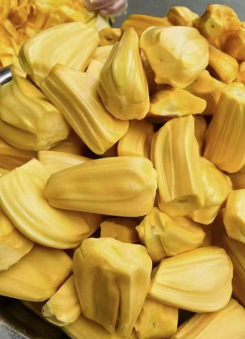 菠萝蜜在线视频