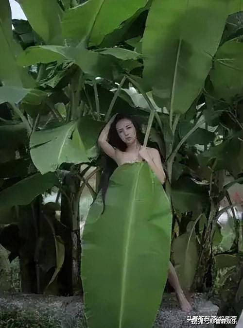 户外L露刺激视频第一区