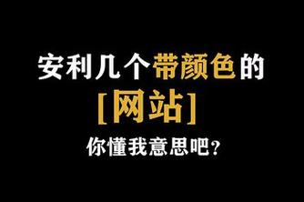 网站你懂我意思正能量晚上不用下载直接进入免费苹果
