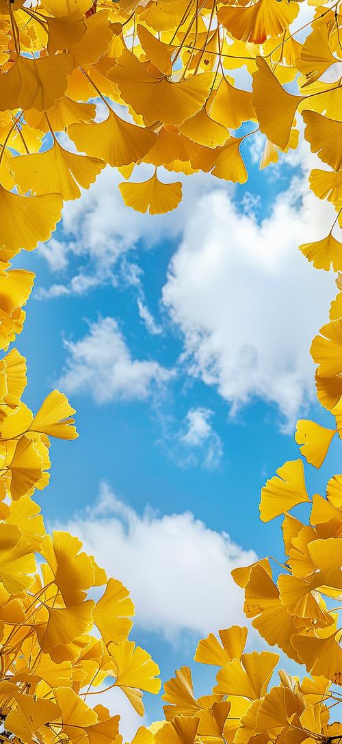 银杏视频下载汅api免费下载