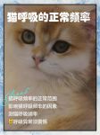 猫呼无广告版