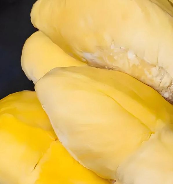 榴莲视频无限制