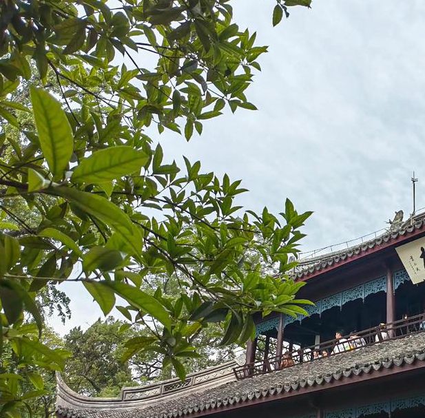 烟雨楼最新官网