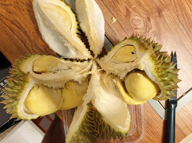 旧版本3&middot;5榴莲视频