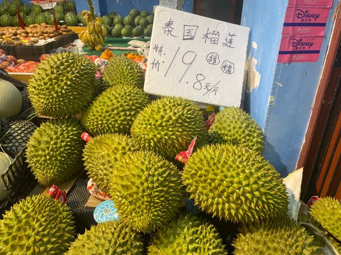 榴莲国内载点1地址ios无限看