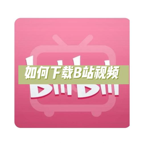 拍哩拍哩轻量版一整晚