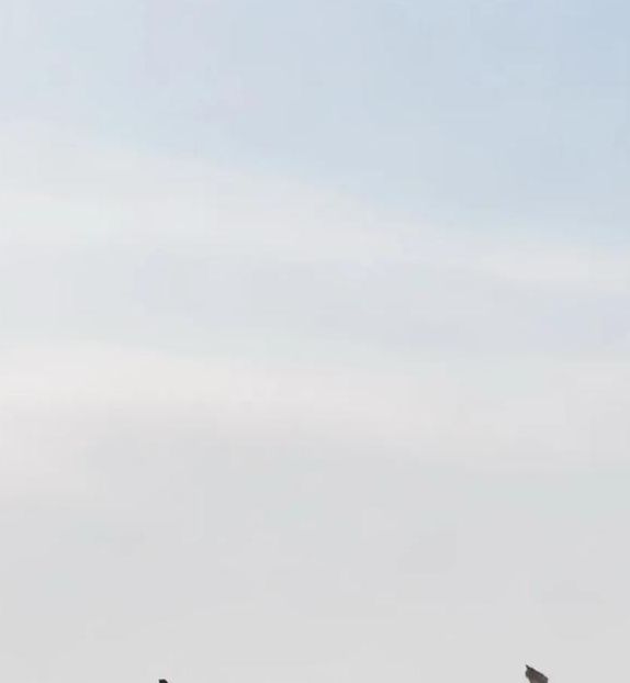 奶茶视频有容乃大海纳百川