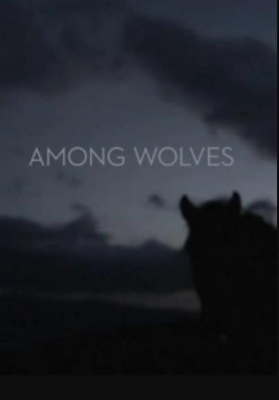 狼群影院手机观看welcome