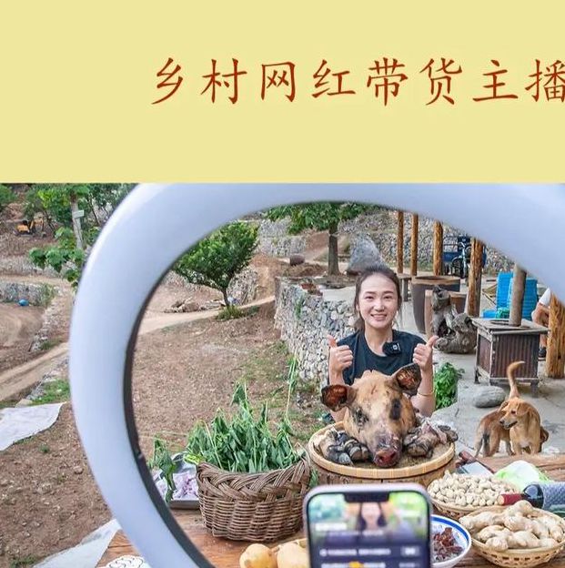 山村之全能直播