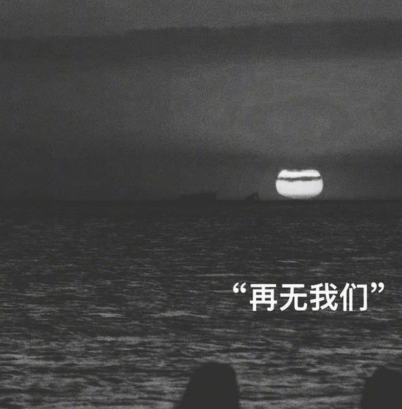 忘忧草WYC.IA 极速版