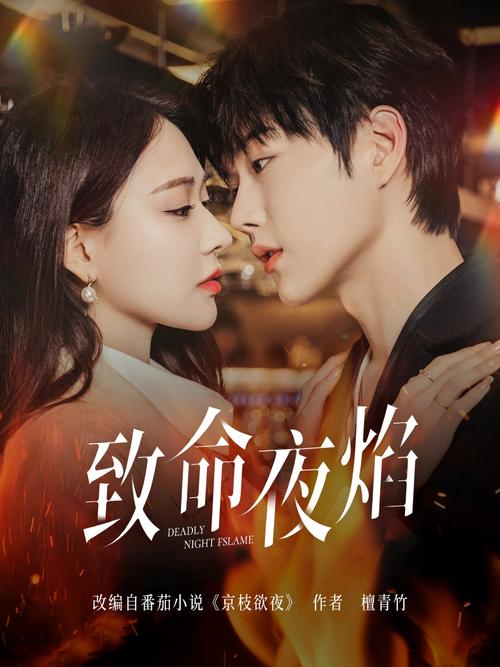 将夜神马影院无限版