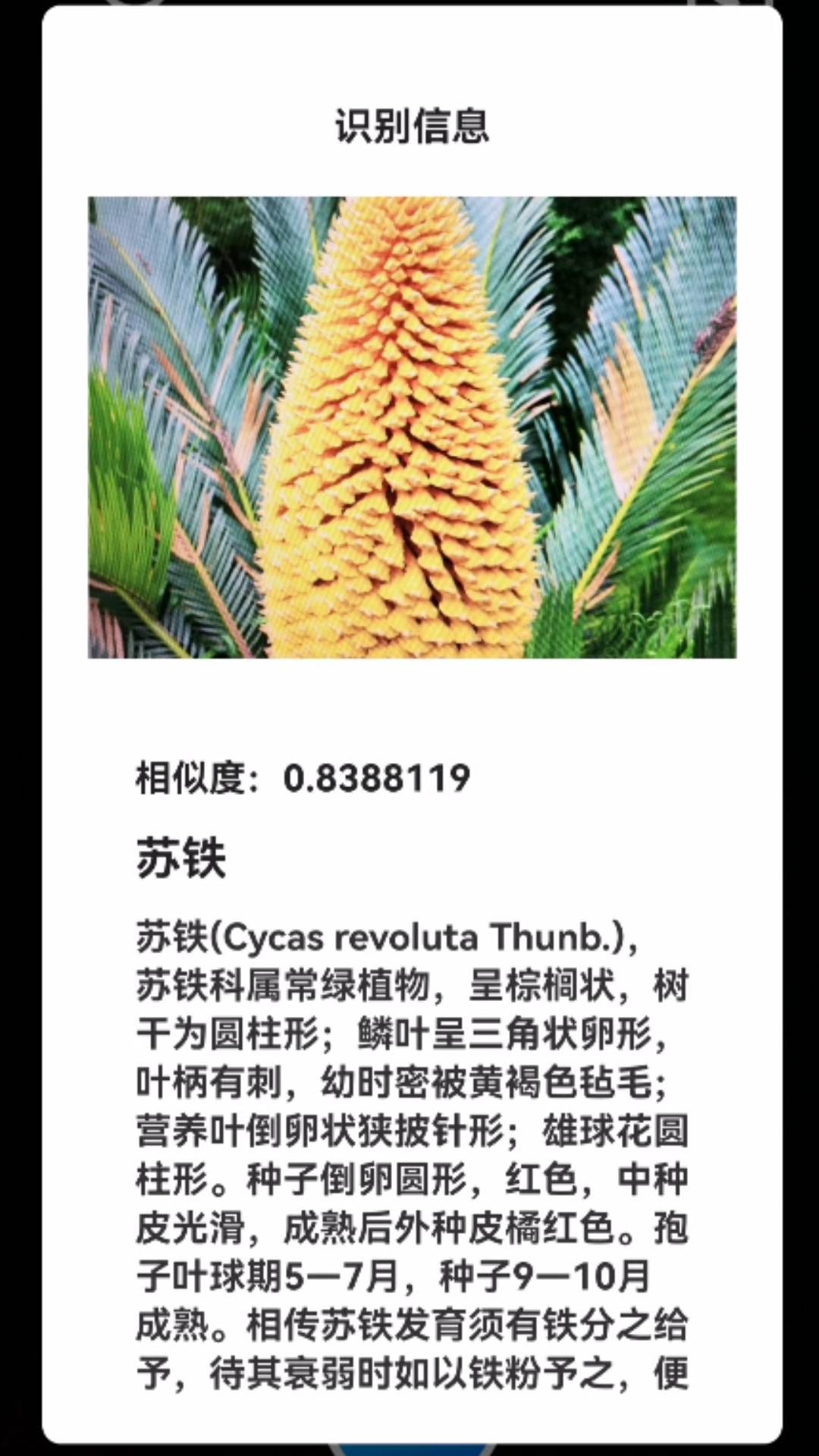 君子兰宝匣免费版